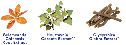 Belamcanda Chinensis Root Extract/Houttuynia Cordata Extract*2/Glycyrrhiza Glabra/Extract*2
