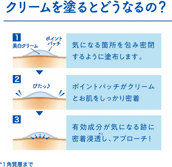 クリームを塗るとどうなるの？ / 有効成分が気になる跡に密着浸透し、アプローチ！