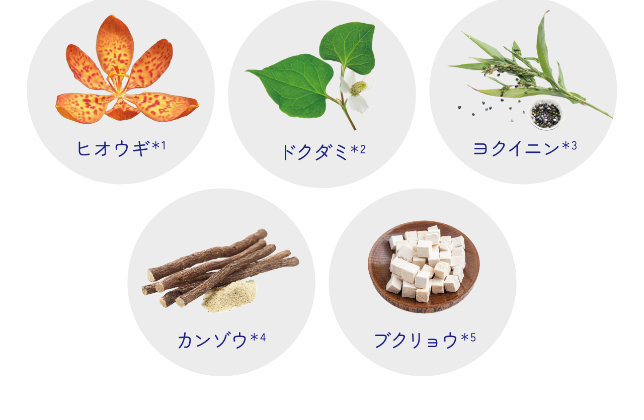独自成分「植物性イソフラボン含有ヒオウギエキス＊１」がお肌に潤いを与える