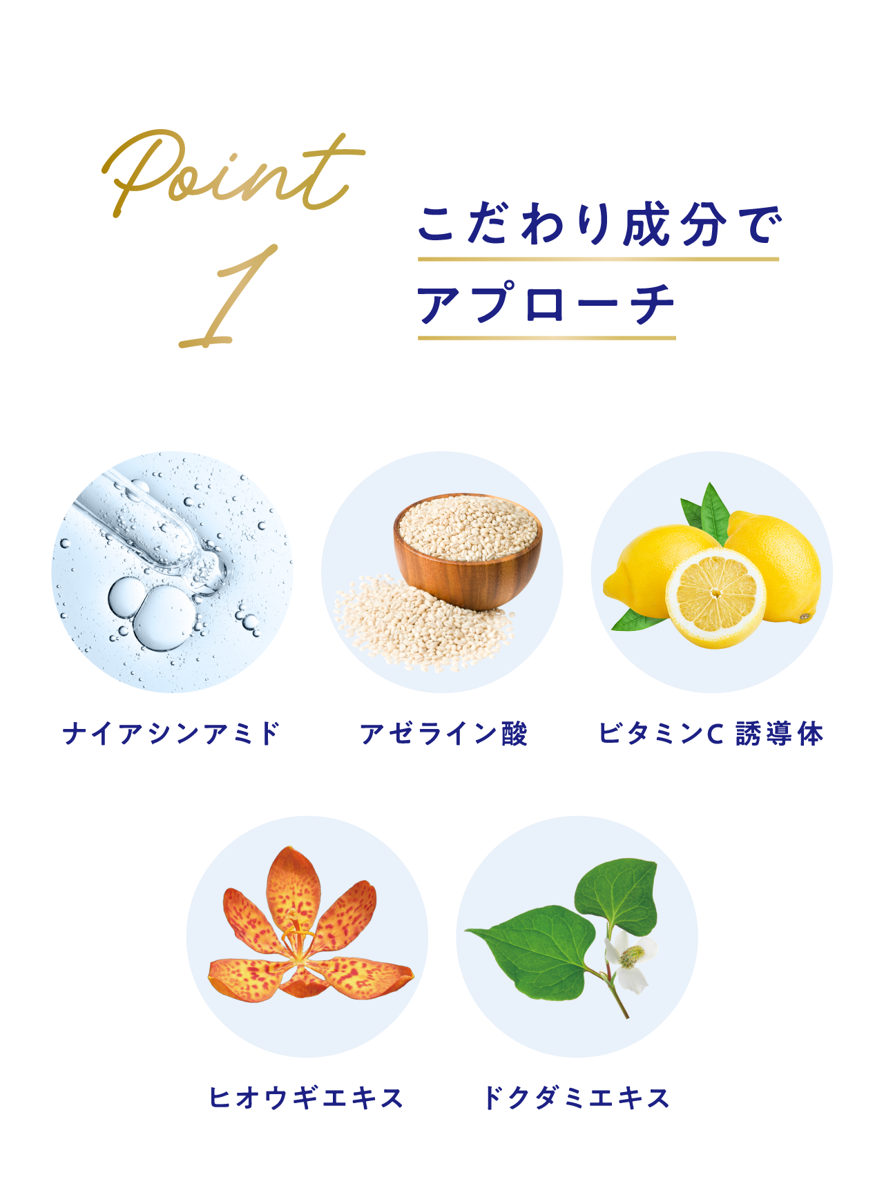 Point 1 こだわり成分でアプローチ